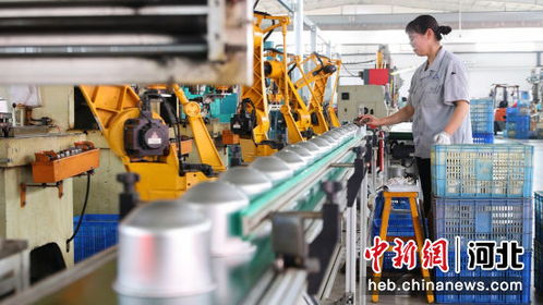 河北南皮創(chuàng)新驅(qū)動(dòng) 小五金 勇闖國際 大市場(chǎng)