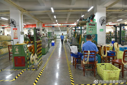 風(fēng)雨過后見 彩虹