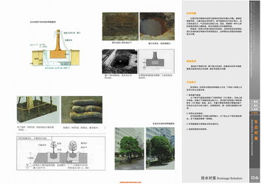 探尋現(xiàn)代與自然的交融 上海江南廣場(chǎng)景觀設(shè)計(jì)解析